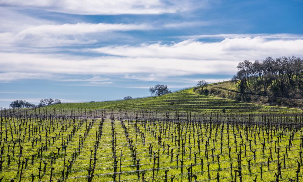 Calistoga Winter in the Wineries Passport