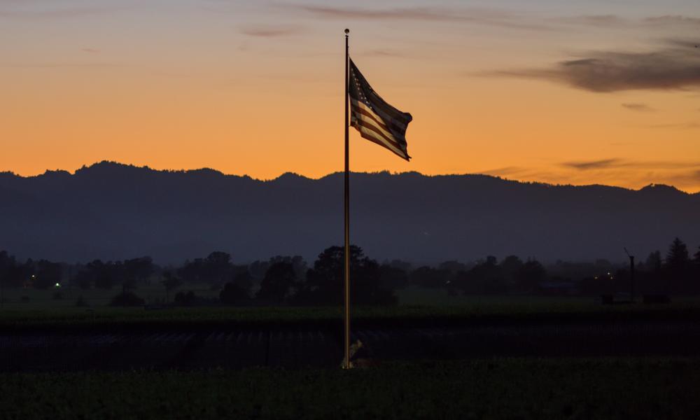 American Flag in Vineyard