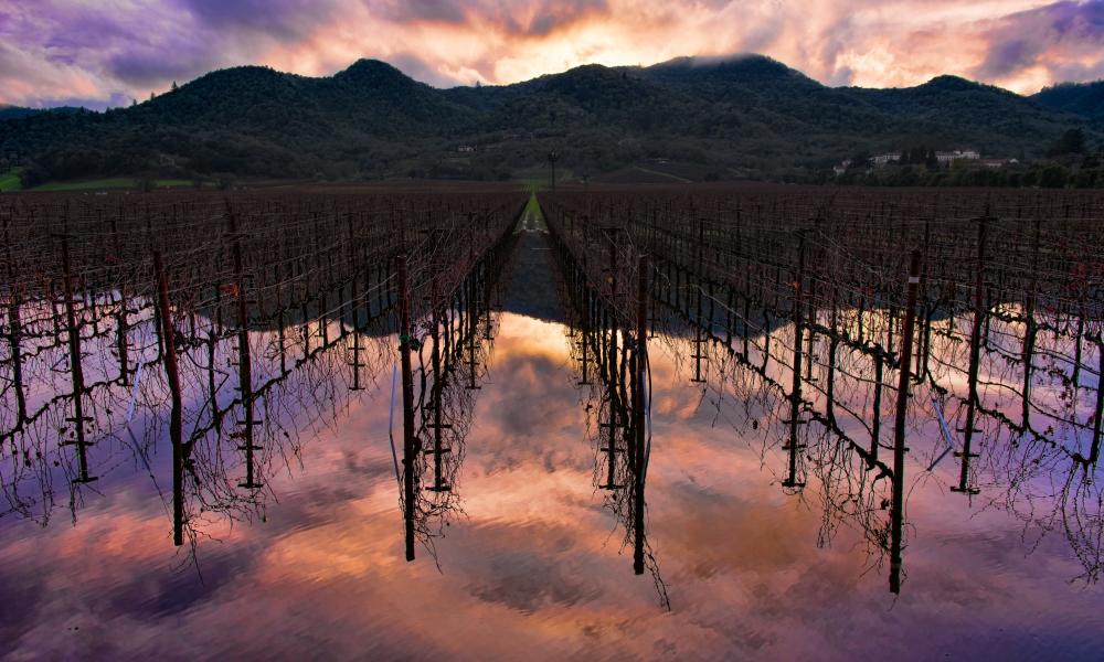 What To Do In Napa When It Rains The Visit Napa Valley Blog