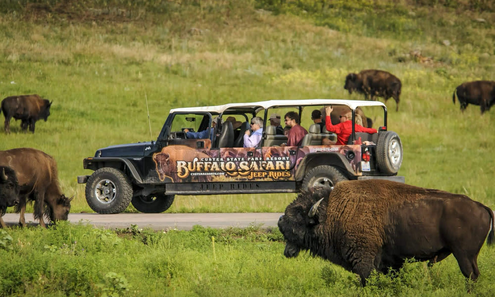 Custer State Park