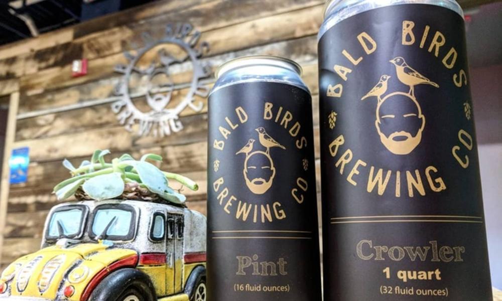 bald birds