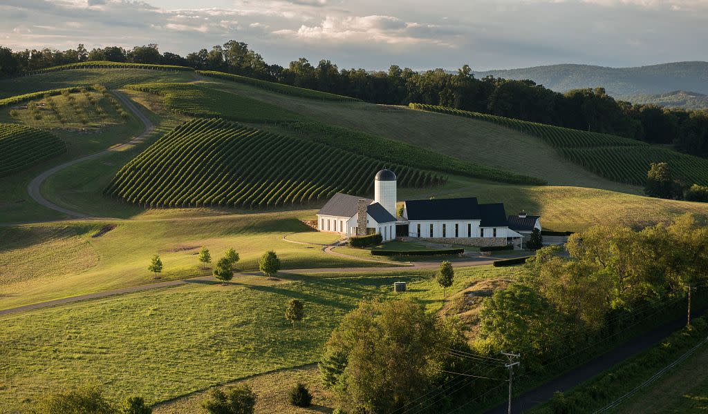 wine tours virginia