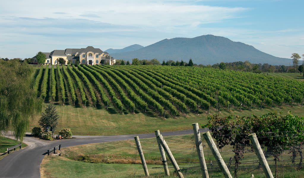 northern virginia wine tour