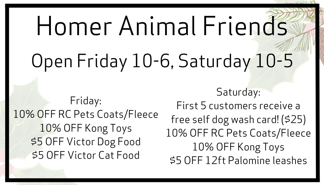 Homer Animal Friends Promo