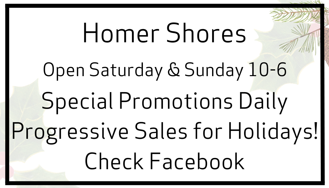 homer shores updated
