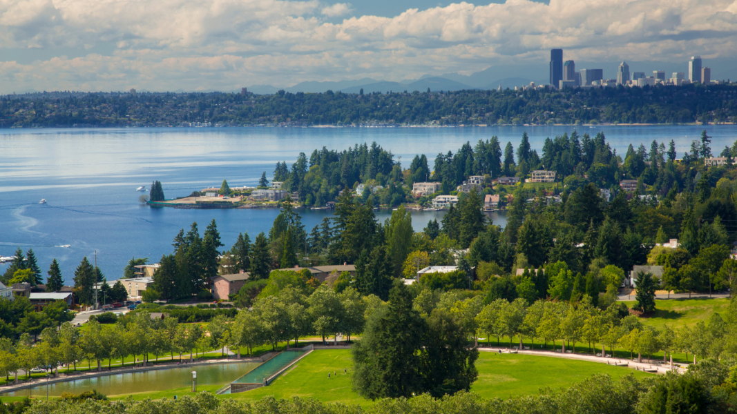 Bellevue Visitors Guide