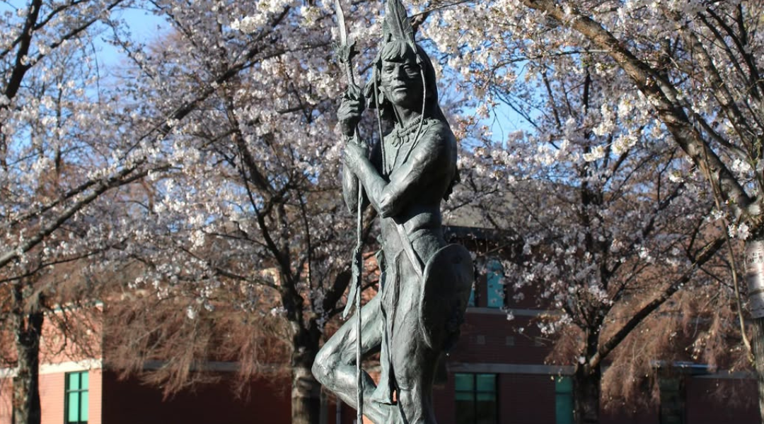 Civic Center Park Blossoms