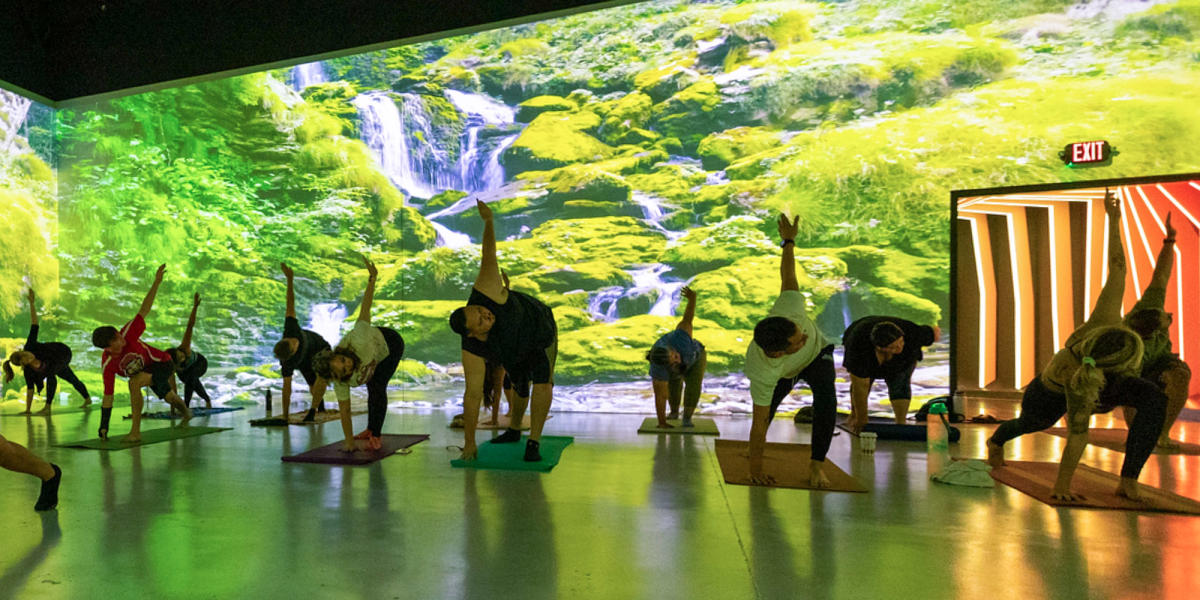 Immersive Yoga