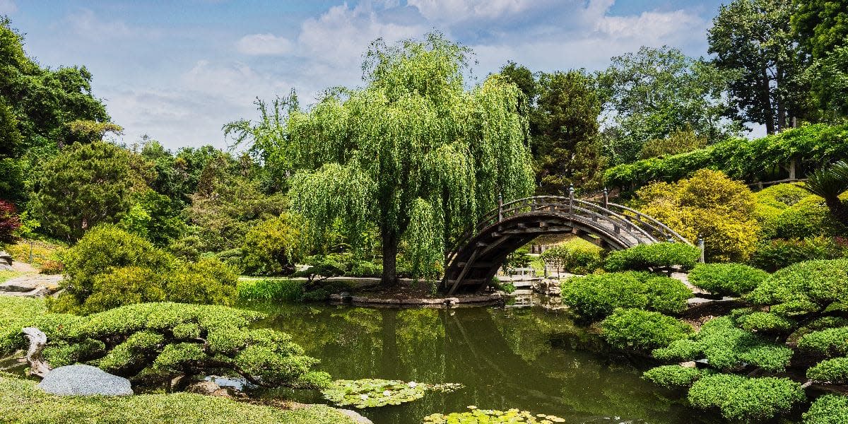 Huntington Library