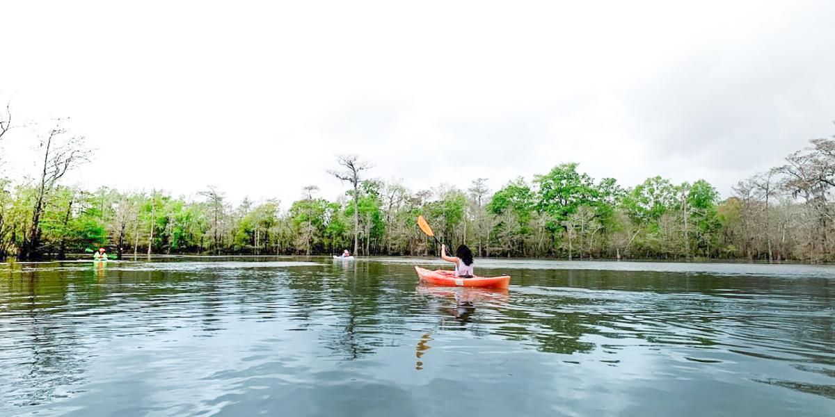 A lone visitor kayaks through the waters of Big Thicket near Beaumont.