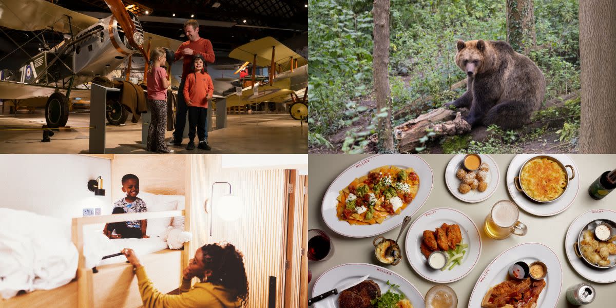 Aerospace Bristol, Bear Wood at Bristol Zoo Project, Mollie's family bunk and Mollie's Diner