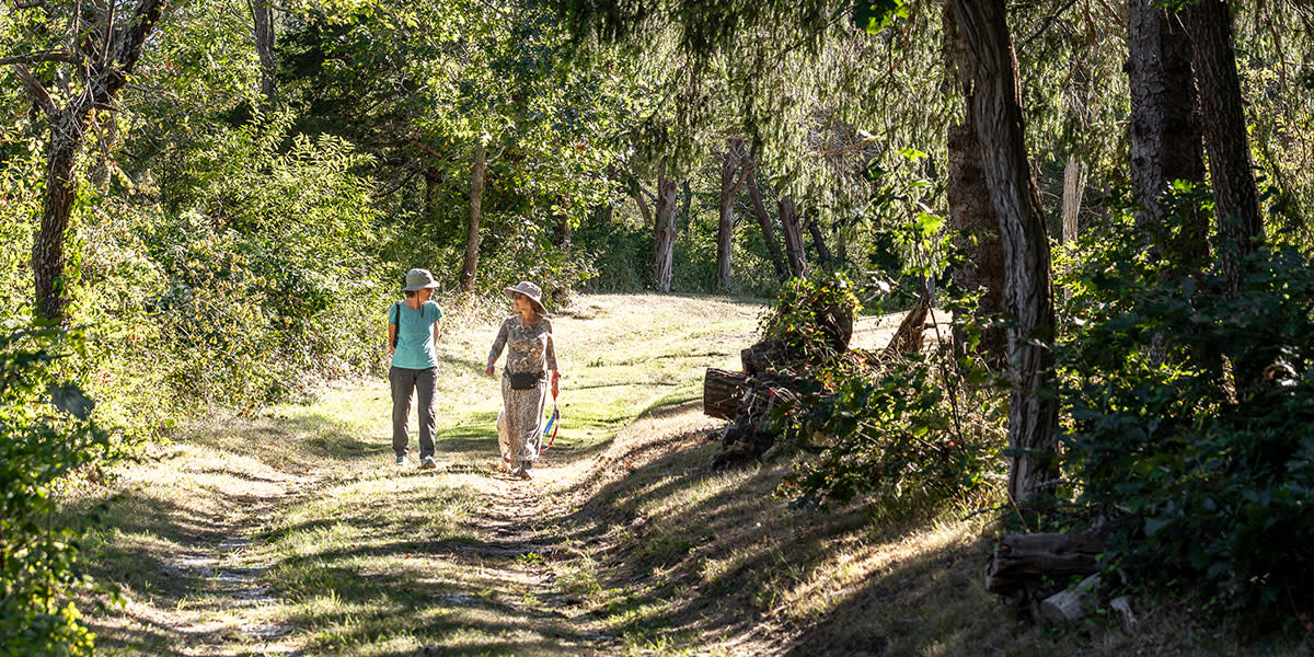 Bound Brook Island - Wayne Earl Chinnock
