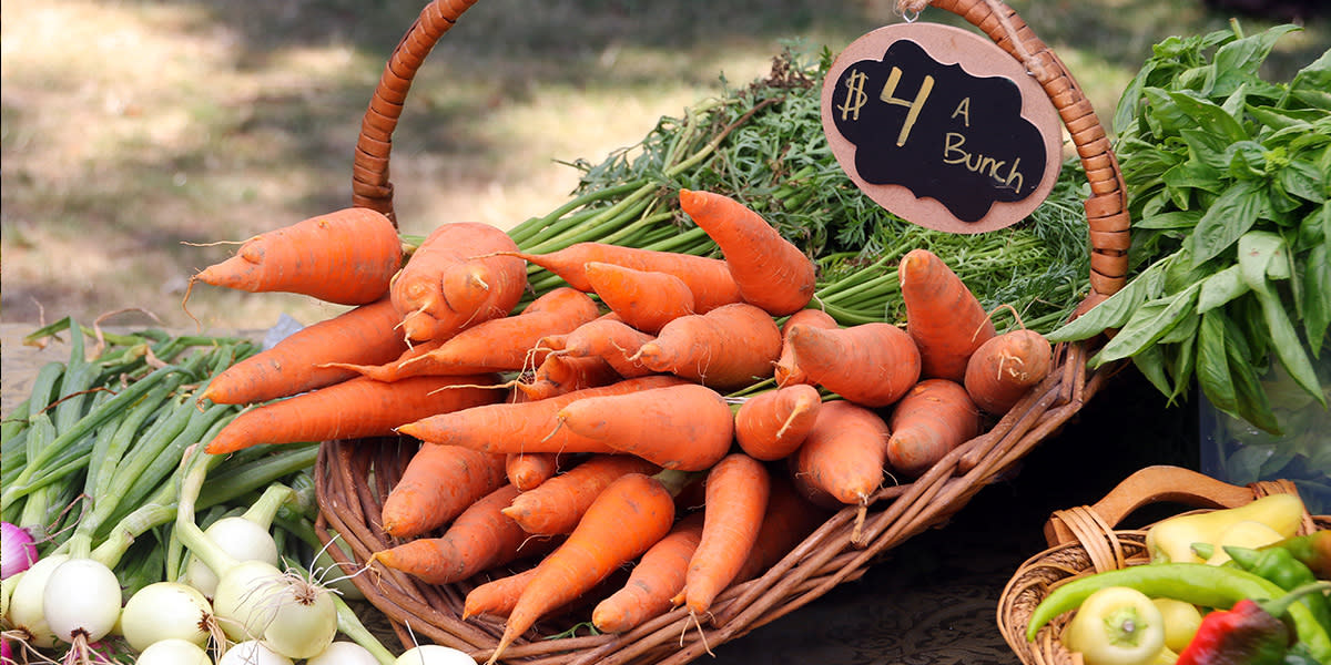 Falmouth Farmers' Market