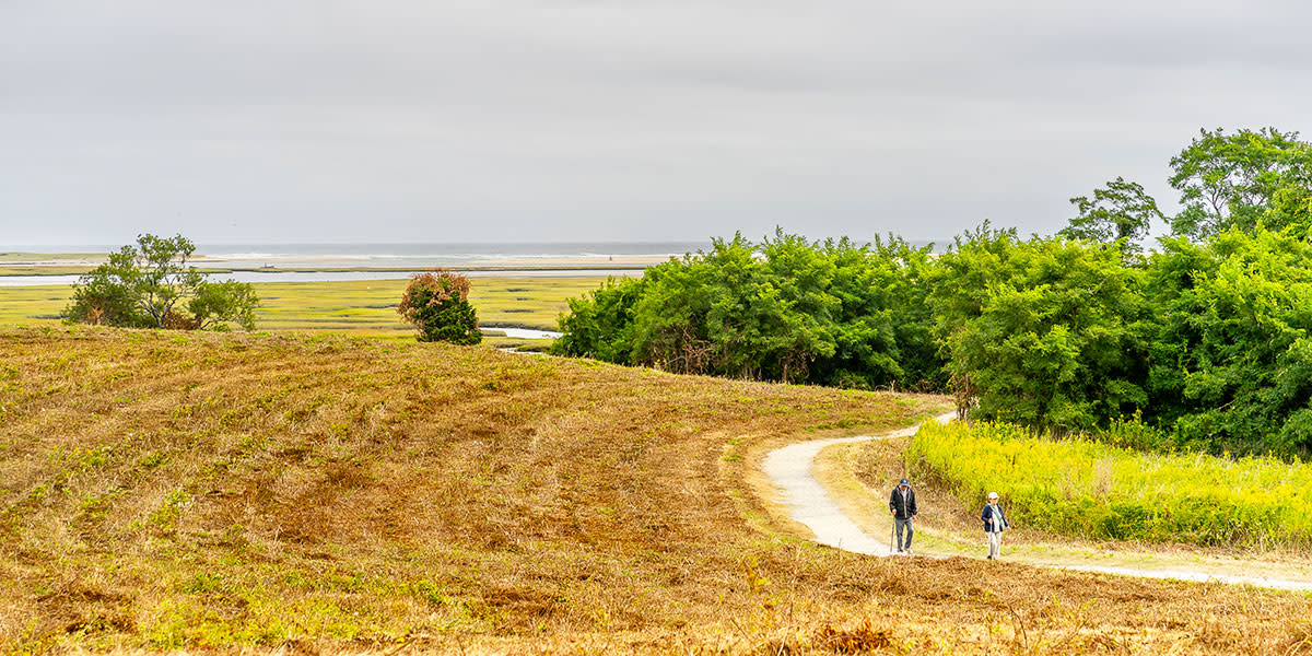 Fort Hill Trail - Wayne Earl Chinnock