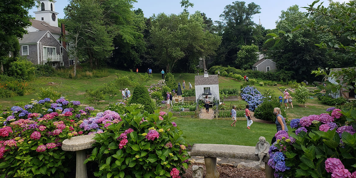 Cape Cod Hydrangea Fest