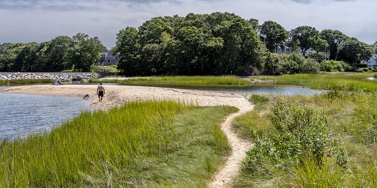 Monks Parks - Wayne Earl Chinnock