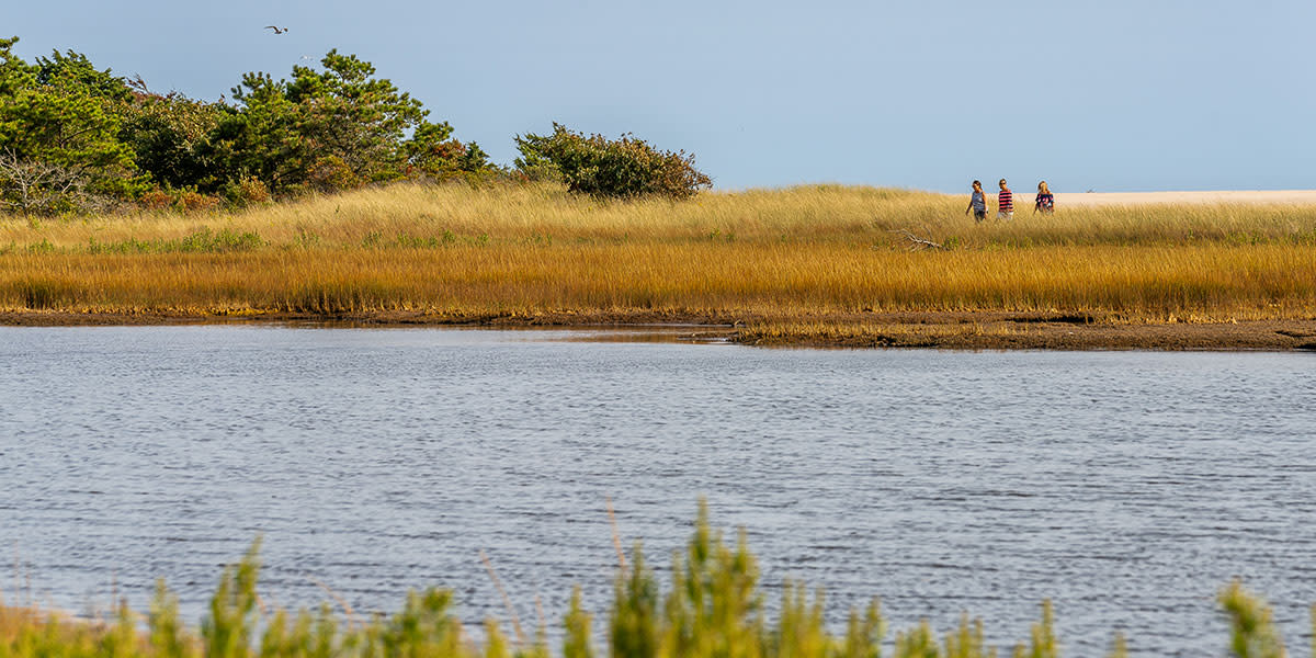 Monomoy Chatham by Wayne Earl Chinnock