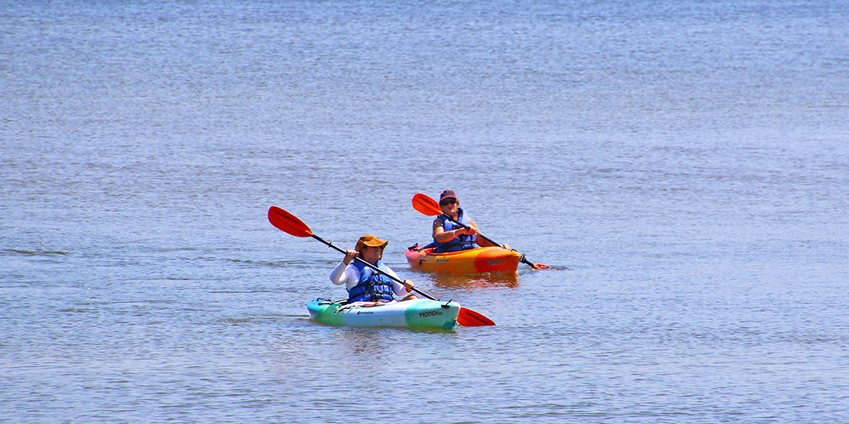 Kayaking on Cape Cod