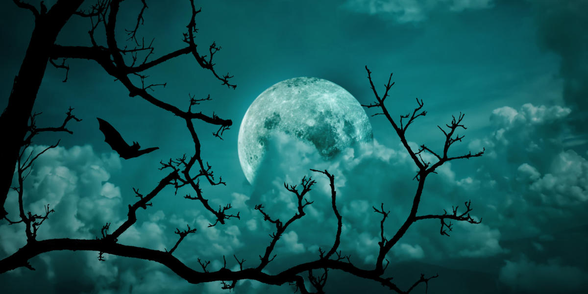 Blue Moon Labyrinth Walk 