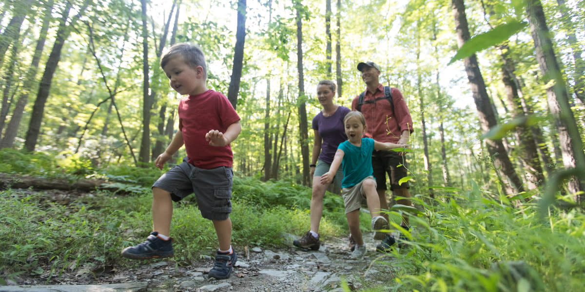 Family Hike Social