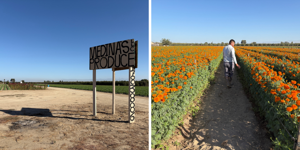 Medina's Produce LLC
