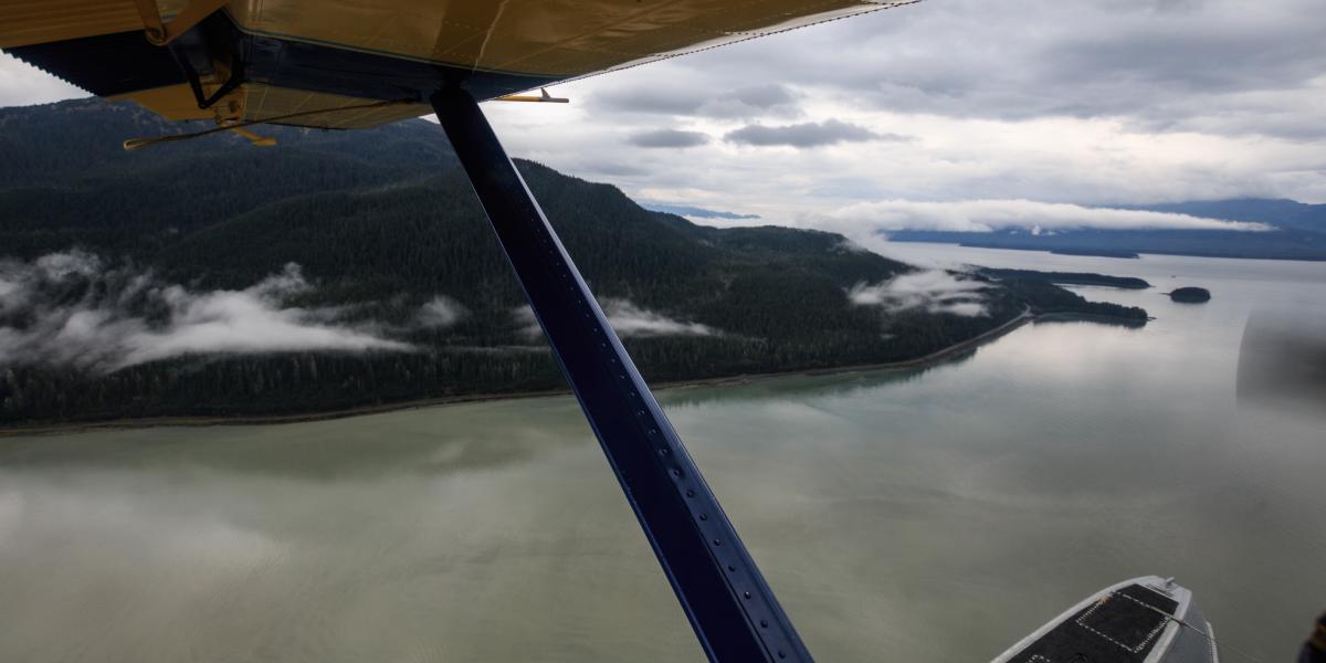 Airplane wing view