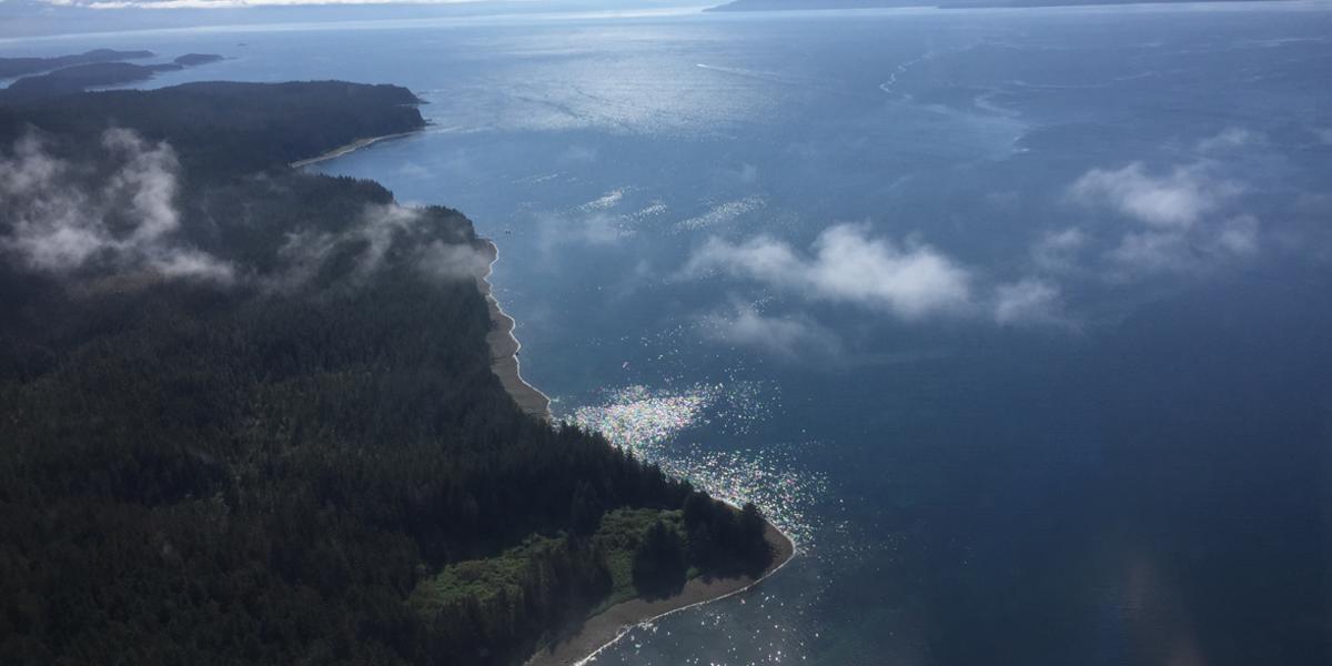 Elfin Cove Aerial Shot