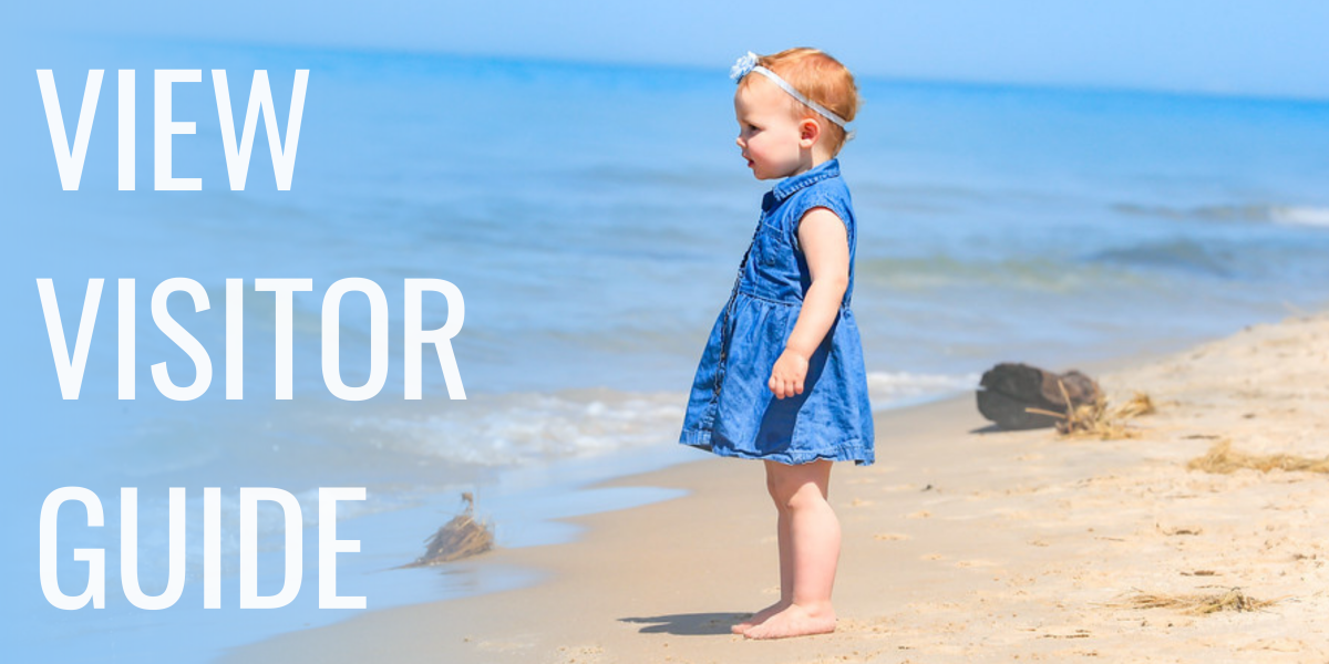 little girl in blue dress stands on beach looking out toward blue waters of lake michigan