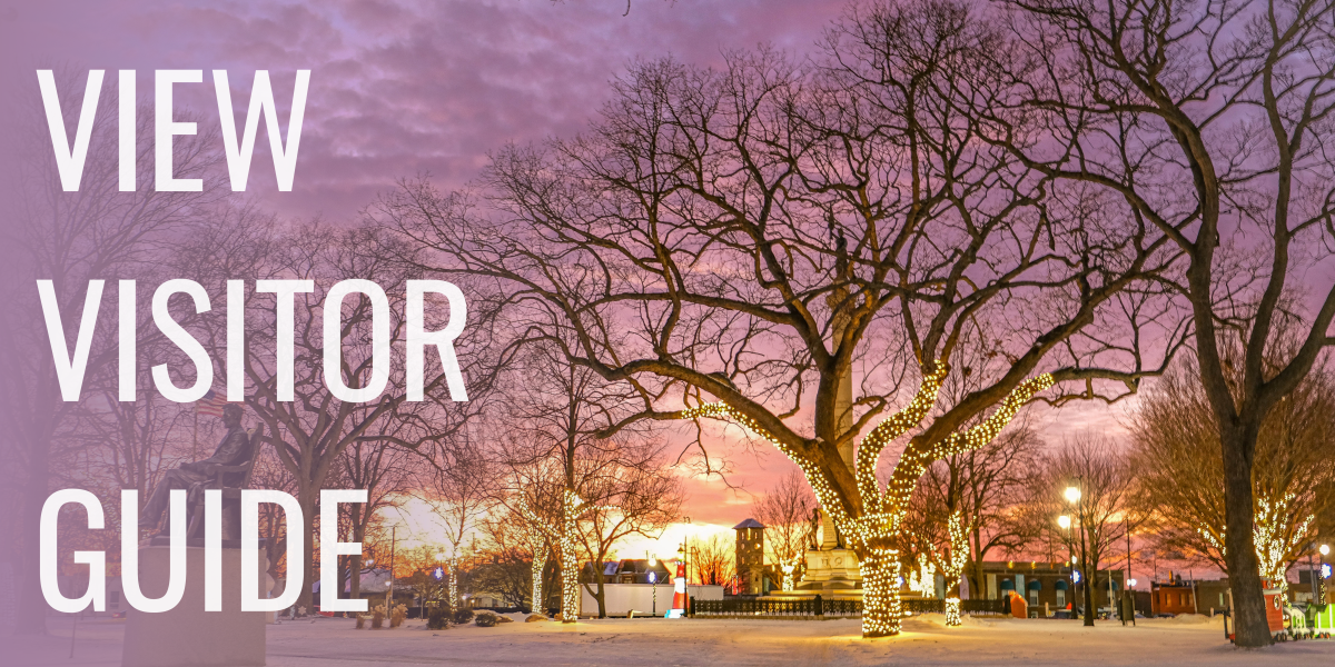 park at sunset with trees wrapped in twinkle lights. text to left reads view visitor guide