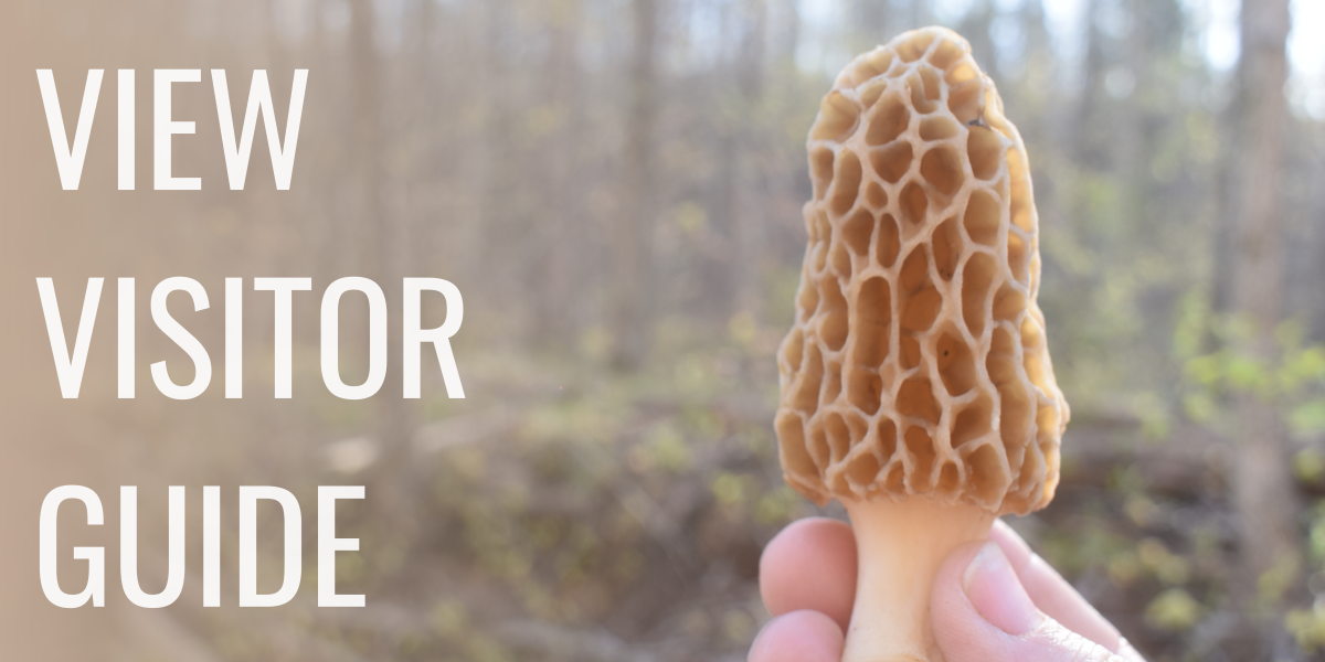 VIEW VISITOR GUIDE morel