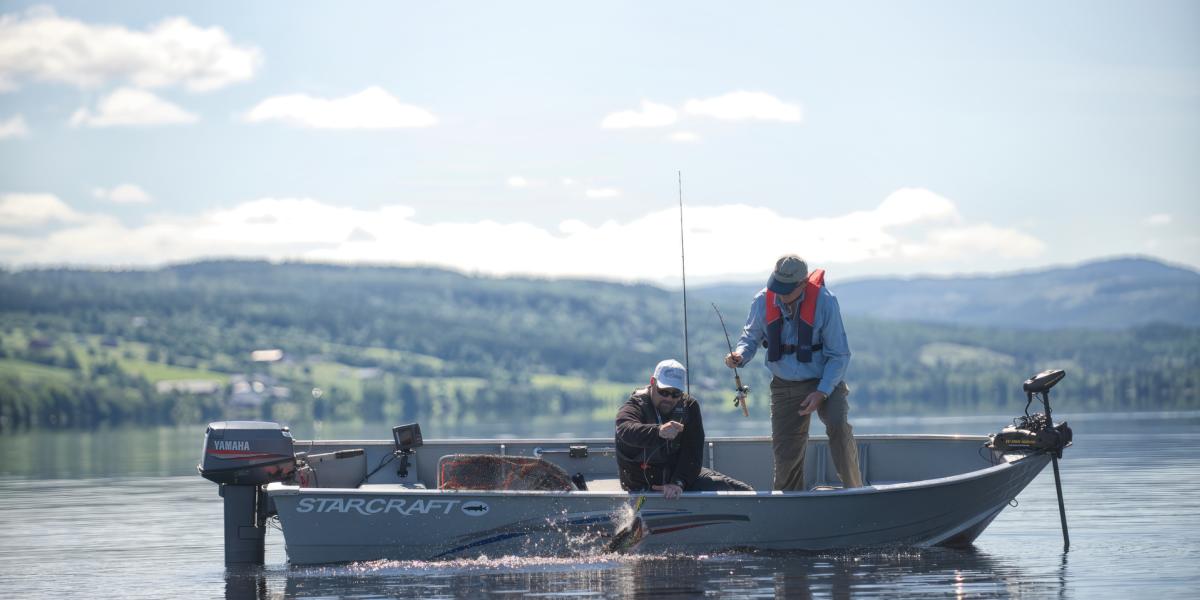 Guidet fisketur på Mjøsa med Go Fishing