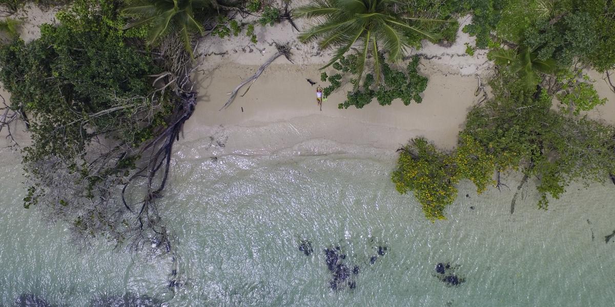 Aerial view of a pristine beach surrounded by tropical vegetation on Bastimentos Island, Bocas del Toro.