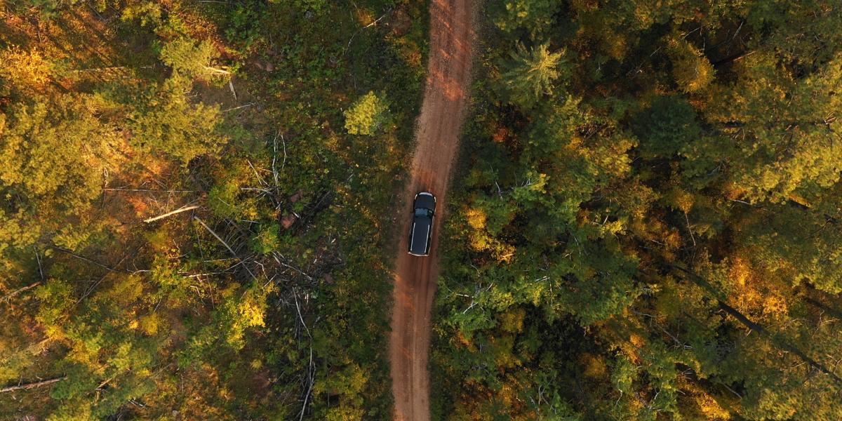 A black car drives along a winding dirt road through a dense forest. Sunlight filters through the green and yellow leaves, creating a serene, autumnal atmosphere.