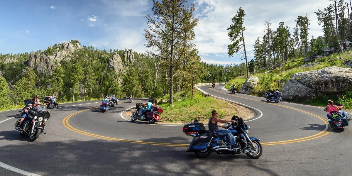 Curving Needles Highway road with lush trees, where groups of motorcyclists enjoy a scenic ride on a sunny day, conveying freedom and adventure.