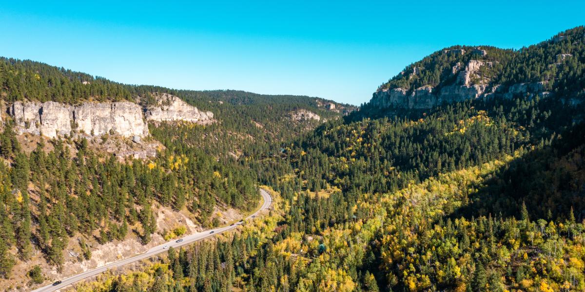 A winding road cuts through Spearfish Canyon, flanked by tall cliffs and dense pine forests. The clear blue sky adds a sense of tranquility to the scene.