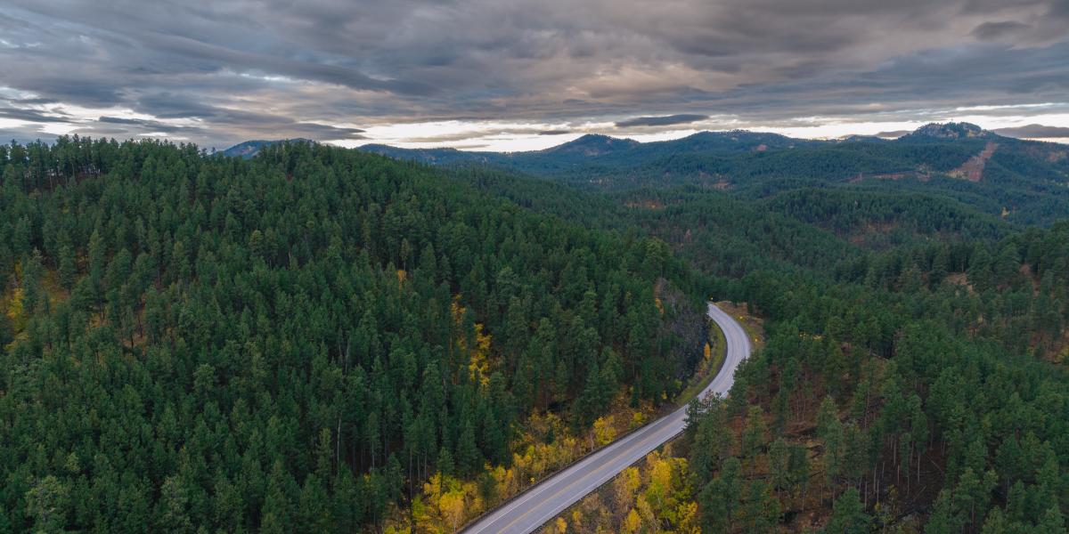 Highway 385 cuts through a dense forest, with lush green pine trees covering hills under a moody, overcast sky, suggesting a tranquil, natural setting.