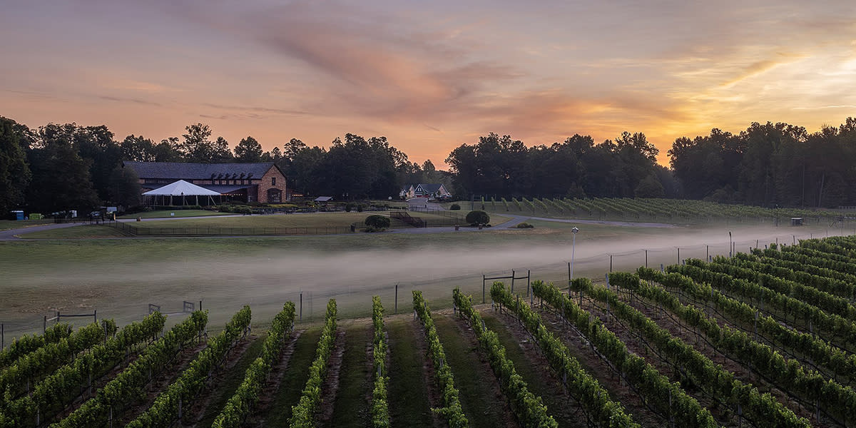 New Kent Winery misty sunset