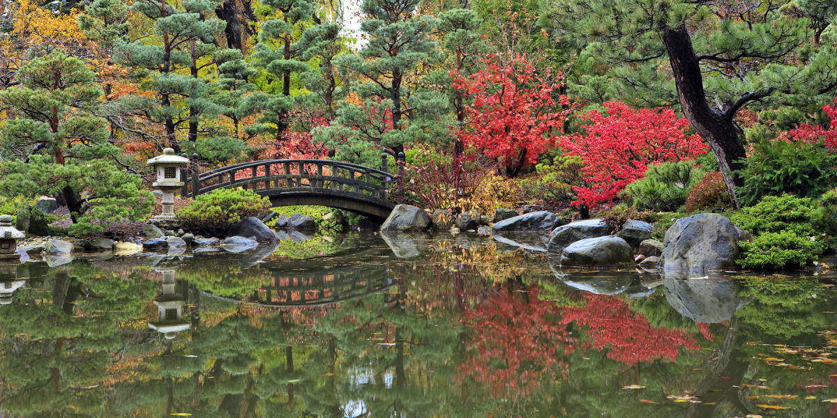 Anderson Japanese Gardens Bridge