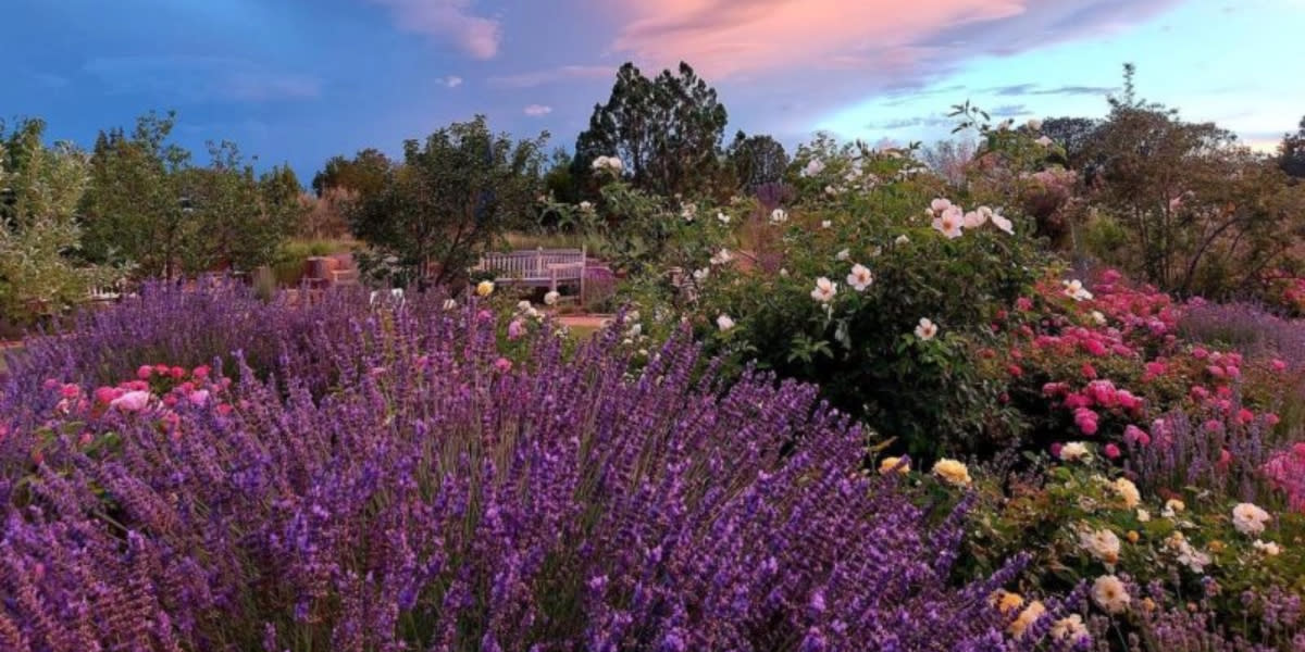 Santa Fe Botanical Garden Sunset Concert