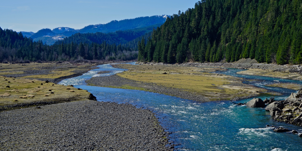 Flathead River Glacier National Park