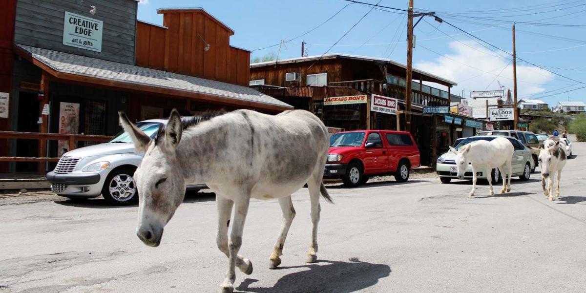 Oatman