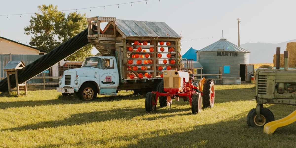 Gordos Family Farm Fall