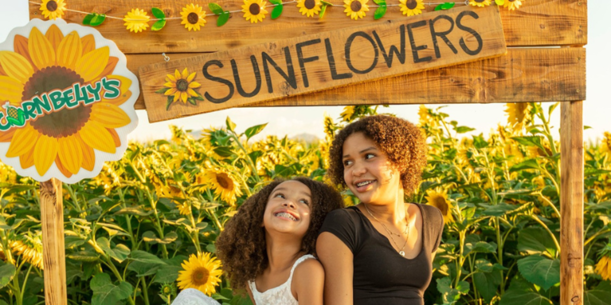 Cornbelly's Sunflower Festival