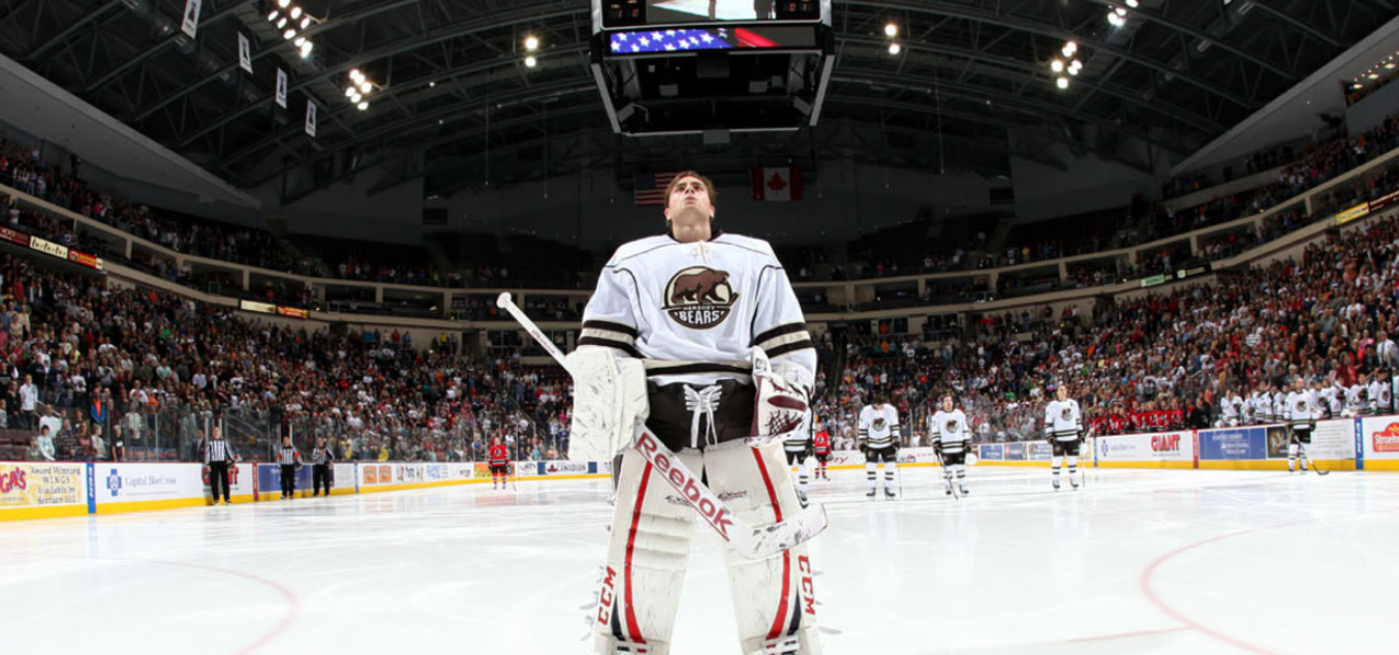 HHSE Interior - Bears