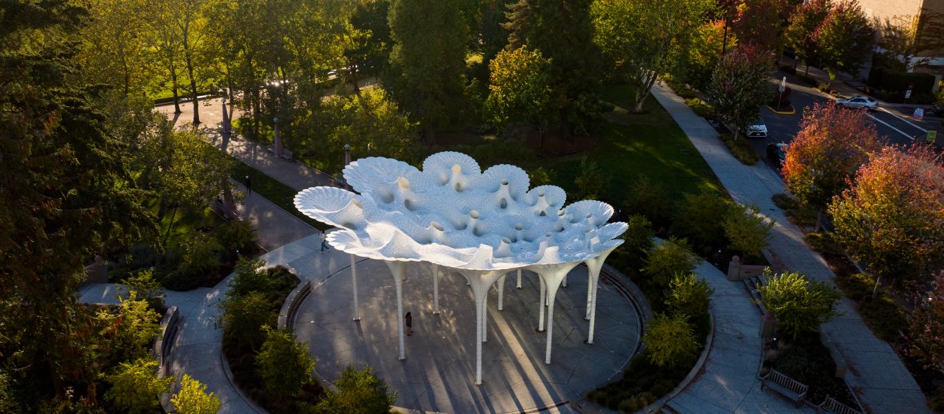 Bellevue Destination Awards