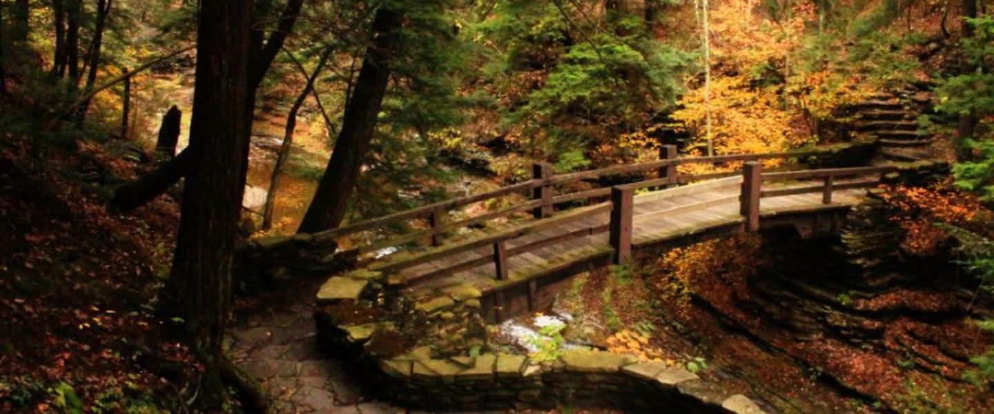 10 Of The Best Fall Hikes In Corning And The Southern Finger Lakes