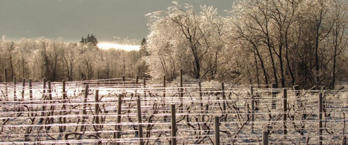 Winter Vacations In The Finger Lakes