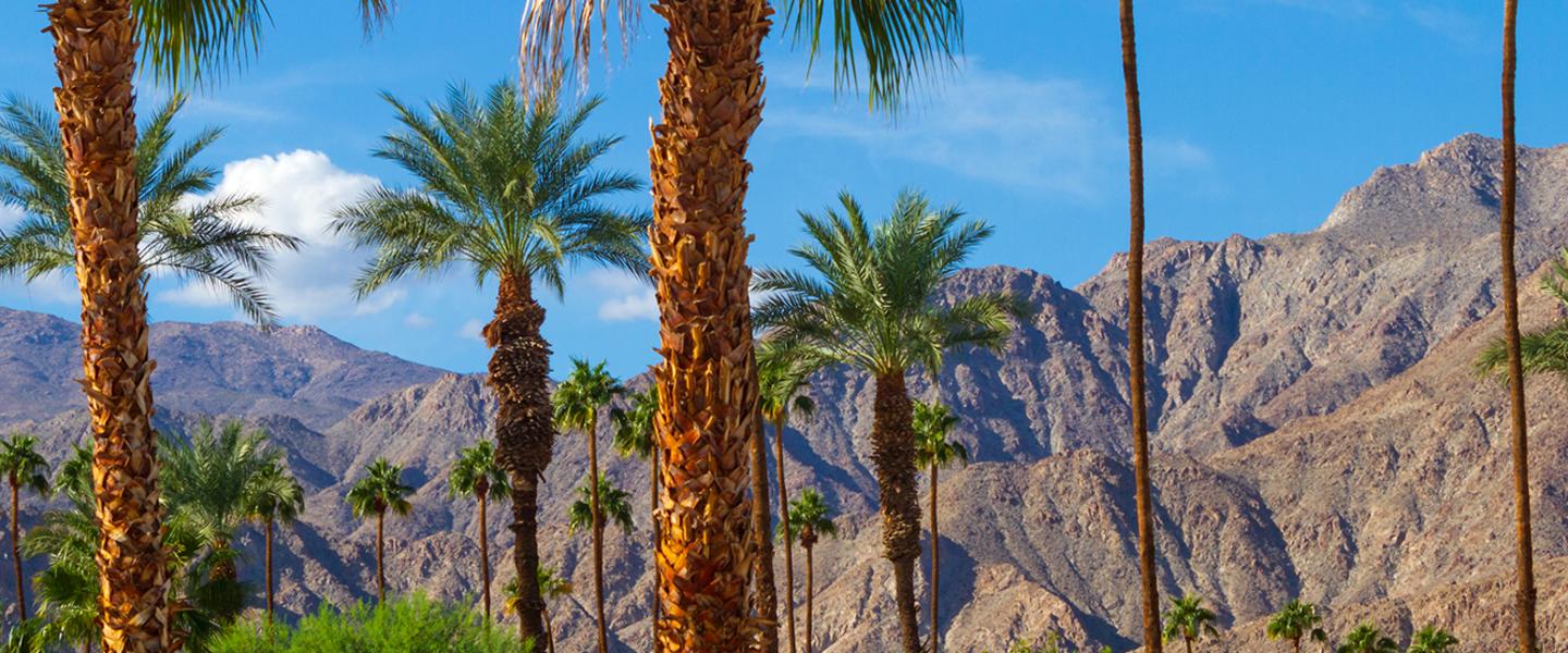 How To Travel Responsibly In Greater Palm Springs