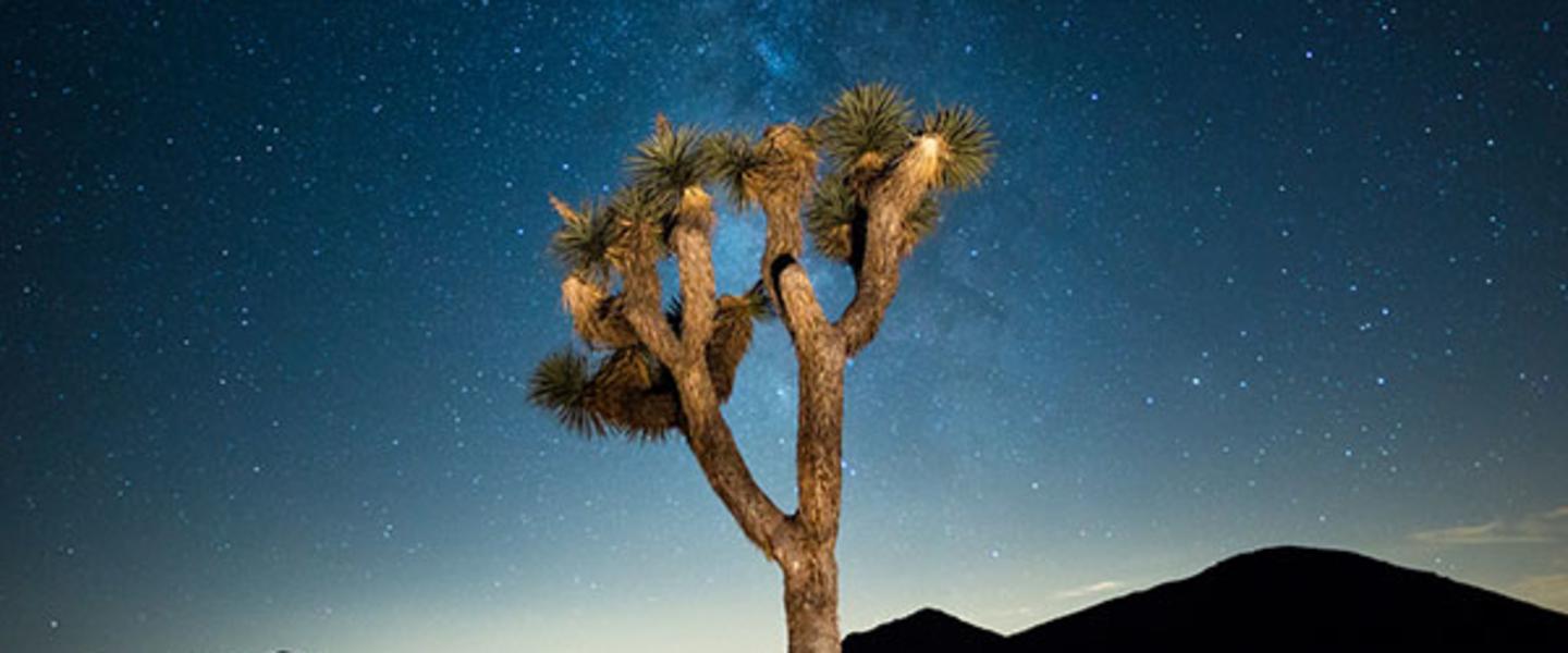 Stargaze Under A Dark Sky In The California Deserts
