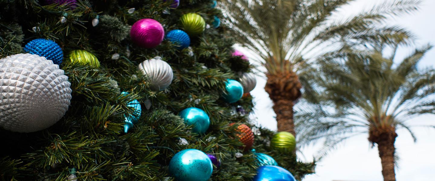 Holiday Happenings In Greater Palm Springs For 2018 - 